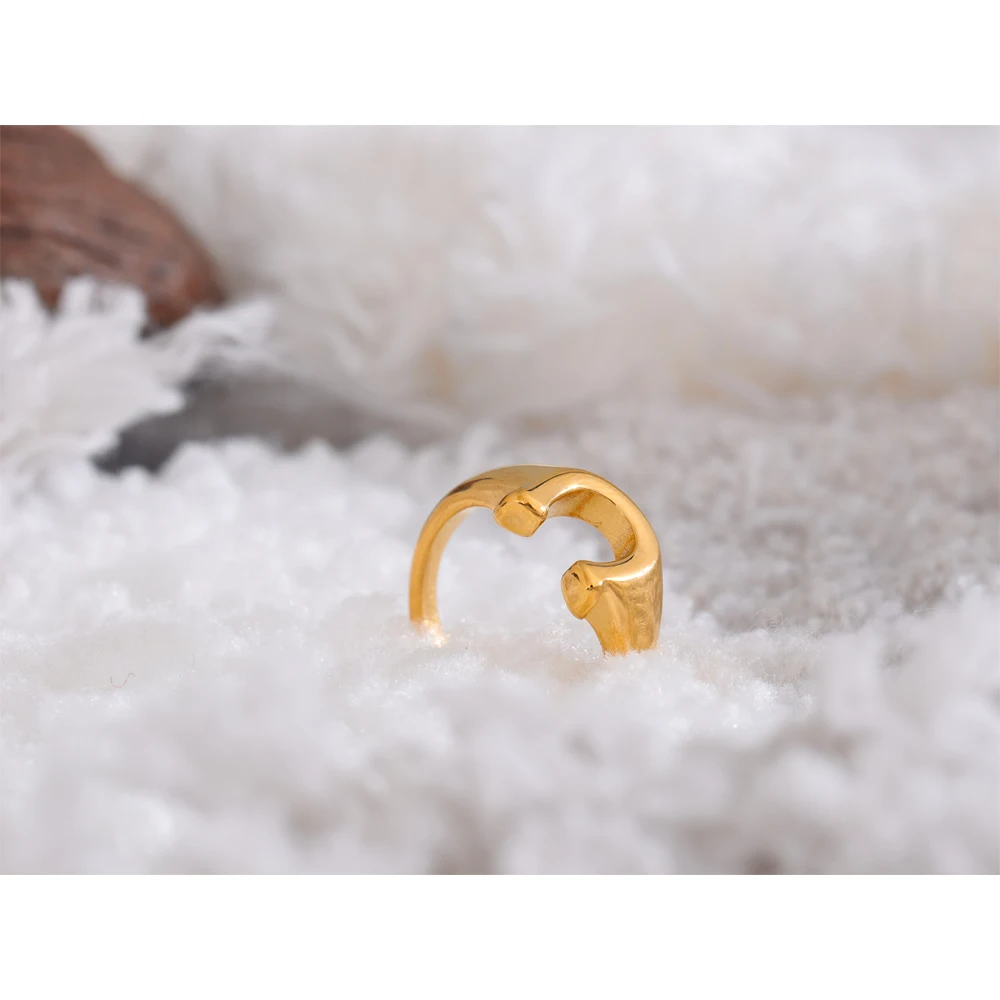 Bague en acier inoxydable U en forme de symbole porte-bonheur 18K PVD plaquée, texture étanche | Zira - 1